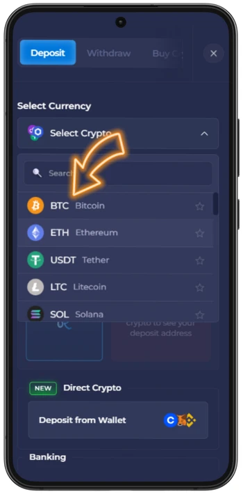 Reinbet choose bitcoin